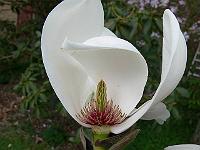 18-04-2007_15-55-27_07