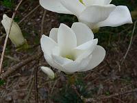 11-04-2007_09-00-33_07