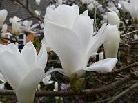 11-04-2007_09-00-37_08
