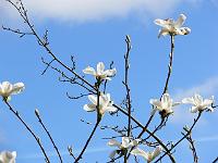11-04-2007_15-47-36_119