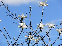 11-04-2007_15-47-48_122