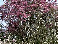 2009-04-16_11-11-30_0029