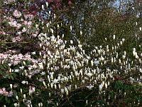 2009-04-16_16-06-03_0229
