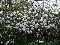 2009-04-19_07-28-42_0056
