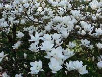 2009-04-21_07-17-37_0004