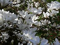 2009-04-24_08-57-16_0102