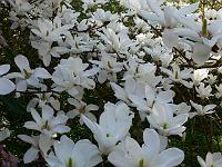 2009-04-24_08-57-26_0105