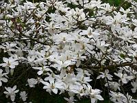 2009-04-26_08-32-28_0180