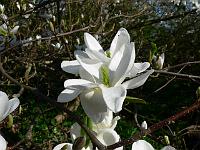 2011-04-23_15-23-09_0088