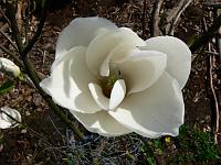2011-04-22_14-33-45_0006