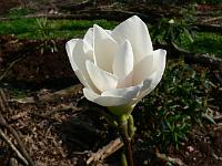 2011-04-22_14-35-01_0019