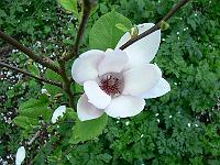 01-05-2007_14-24-19_33