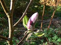 17-04-2007_09-14-58_64