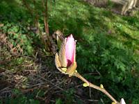 17-04-2007_09-15-18_69
