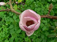 2009-05-07_07-51-17_0108