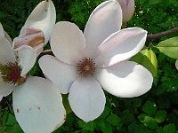 2009-05-13_08-23-56_0039
