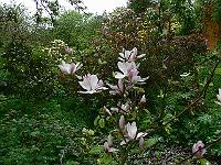 2010-05-24_14-40-04_0092