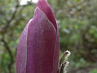 23-04-2007_19-26-12_14