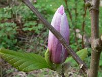23-04-2007_19-26-16_15