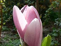 24-04-2007_16-08-55_10
