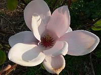 25-04-2007_08-29-35_45