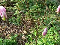 25-04-2007_08-29-51_49