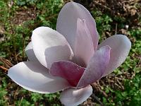 25-04-2007_15-18-02_05