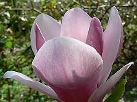 25-04-2007_15-19-53_33