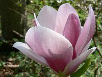25-04-2007_15-19-57_34