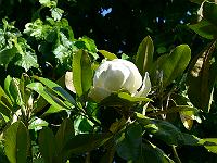 2009-06-16_08-56-15_0139