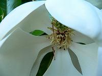 2009-06-26_19-48-42_0030