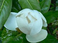 2009-06-26_19-48-58_0031