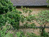 2009-07-28_08-42-33_0070