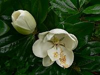 2010-07-30_14-15-41_0051