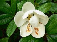 2011-07-22_08-34-24_0003