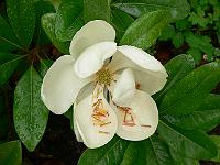 2011-07-22_09-25-20_0074