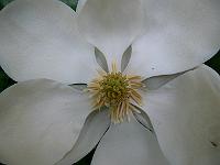21-08-2007_09-56-24_13
