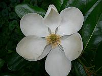 21-08-2007_09-56-29_15