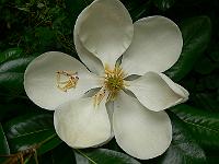 21-08-2007_09-57-12_30