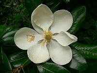 21-08-2007_09-57-20_33