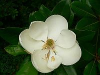 21-08-2007_09-57-40_41