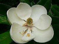21-08-2007_09-57-57_47
