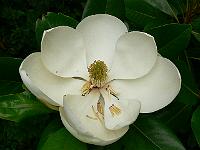 21-08-2007_09-58-14_53