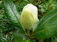 23-08-2006_21-52-45_02