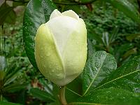 23-08-2006_21-52-49_03