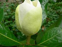 23-08-2006_21-52-53_04