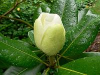 23-08-2006_21-52-58_05