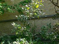 28-04-2007_10-37-50_60