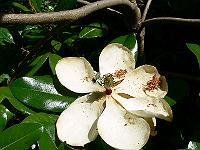 31-07-2007_15-47-24_73