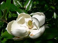 31-07-2007_15-47-44_78
